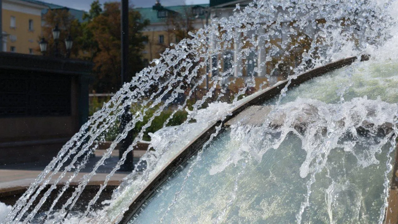 REGIONS/Дарина Левкина