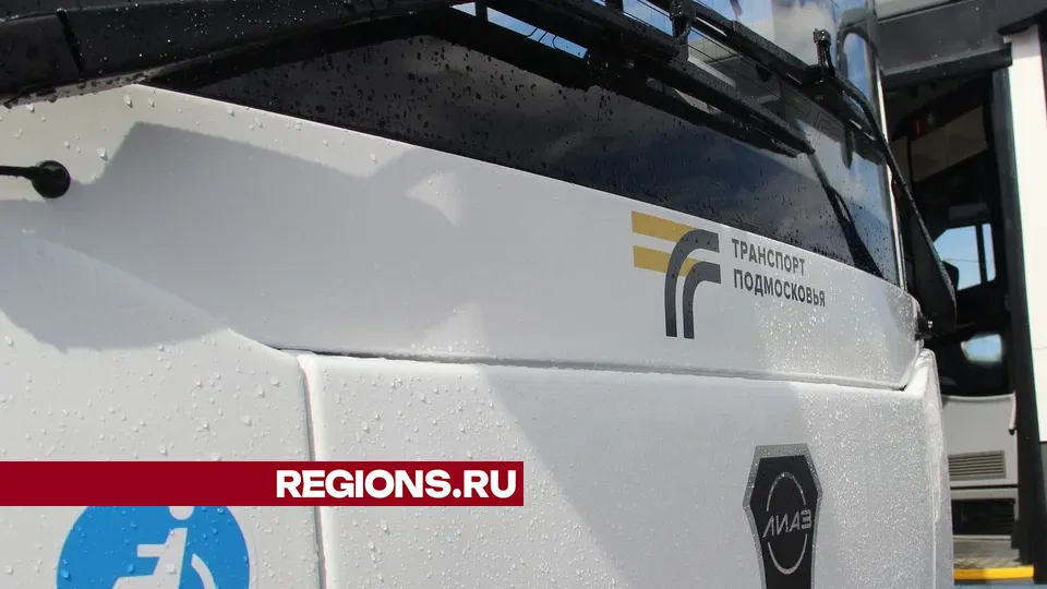 Фото: REGIONS/Василий Тремасов