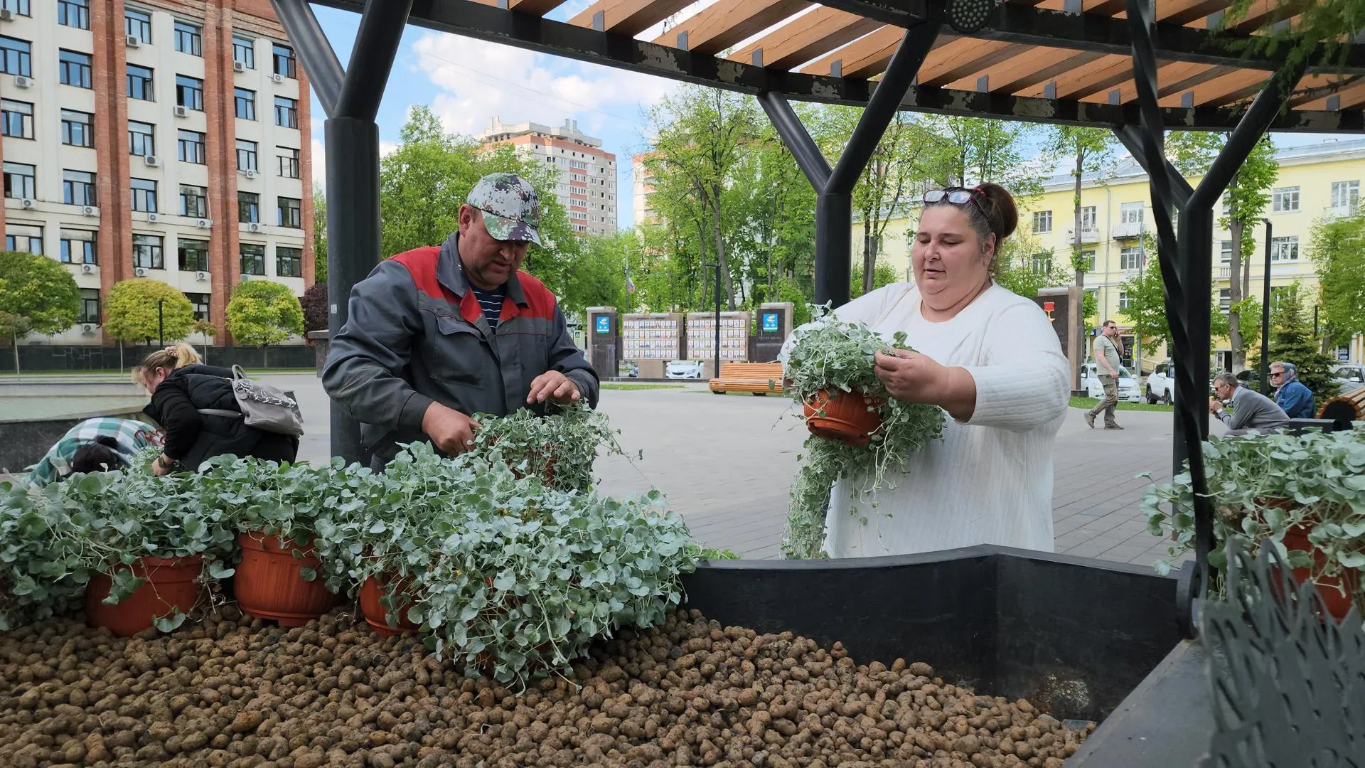 Картинка