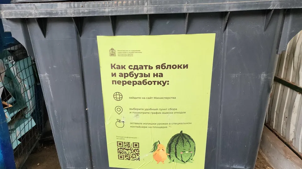 Фото: Мария Даньшина