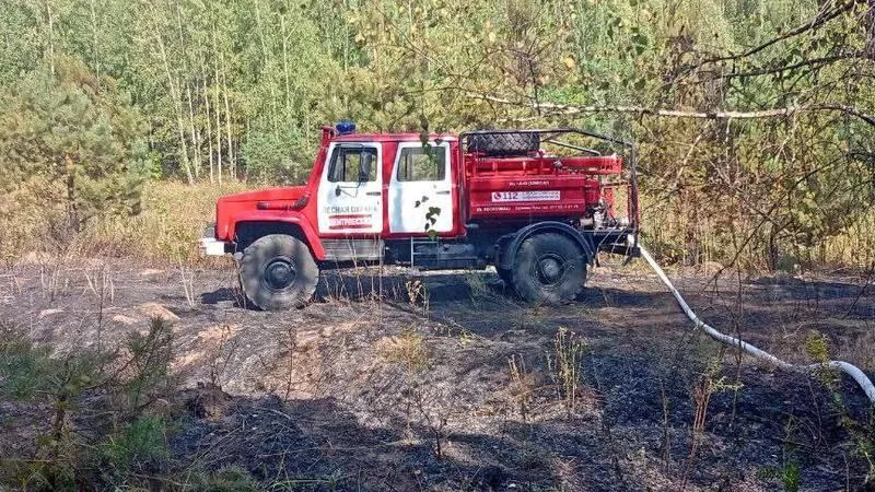  Комитет лесного хозяйства МО