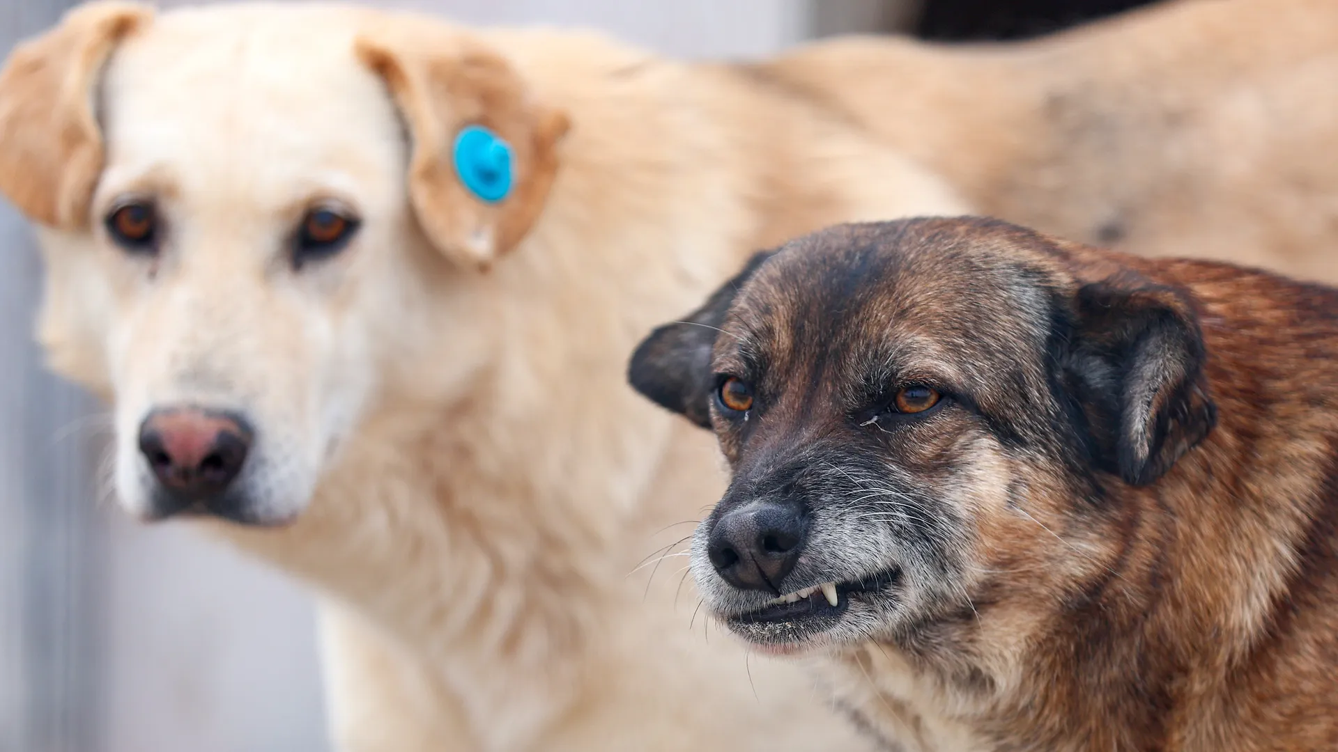 Фото: ТАСС/Егор Алеев