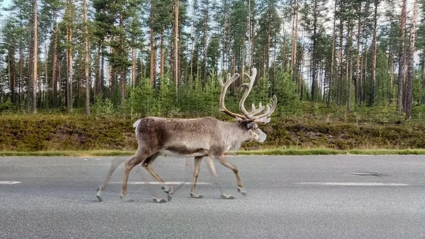 Фото: freepik.com