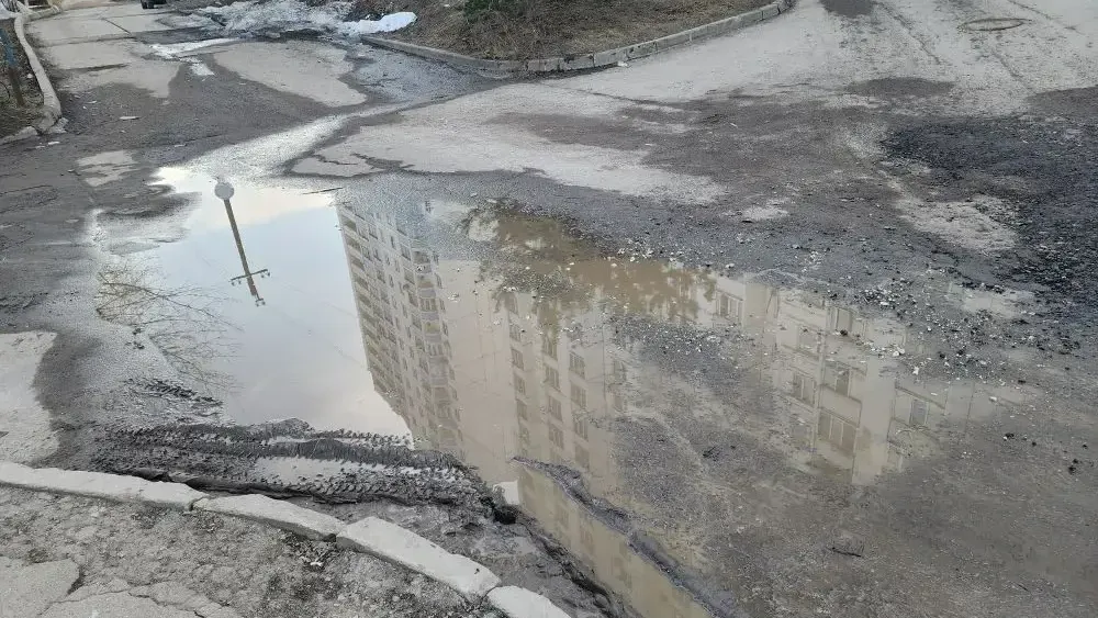 Ирина Кузова