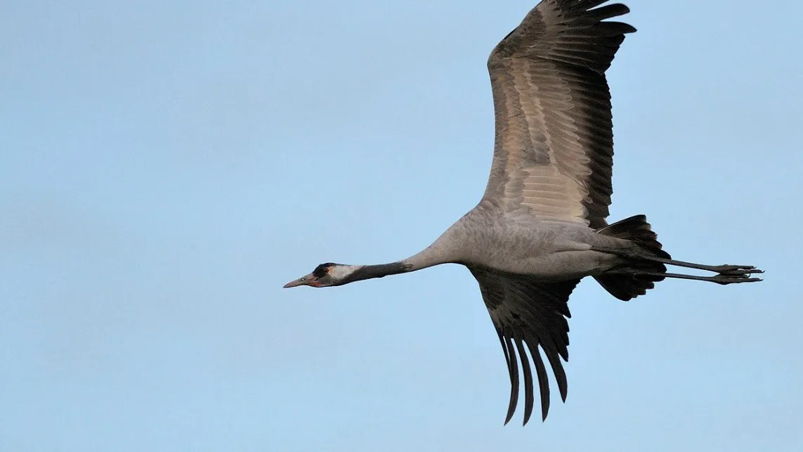 Фото: МедиаБанк Подмосковья/Евгений Рой