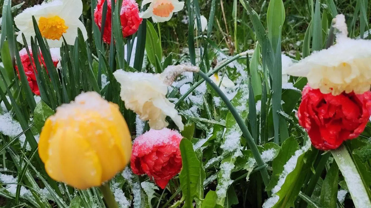 Фото: t.me/podolsk24life