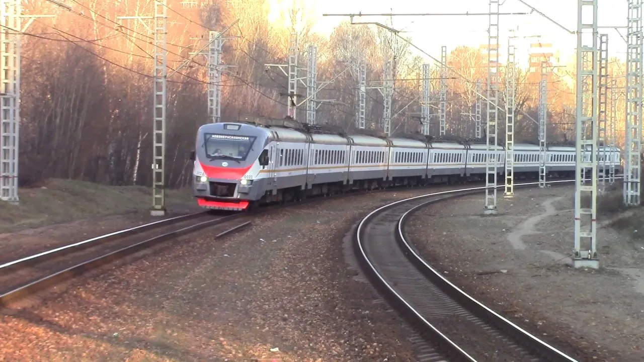 Фото: unsplash.com