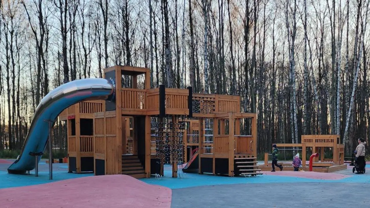 REGIONS/Нина Басистая