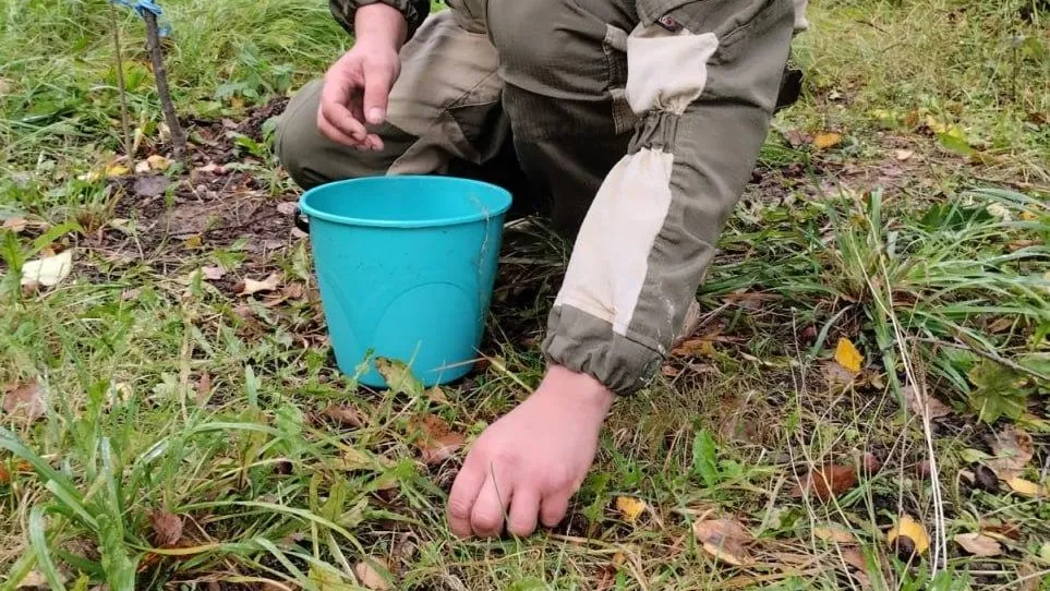 Комитет лесного хозяйства Московской области