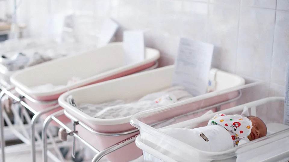 Фото: медиасток.рф