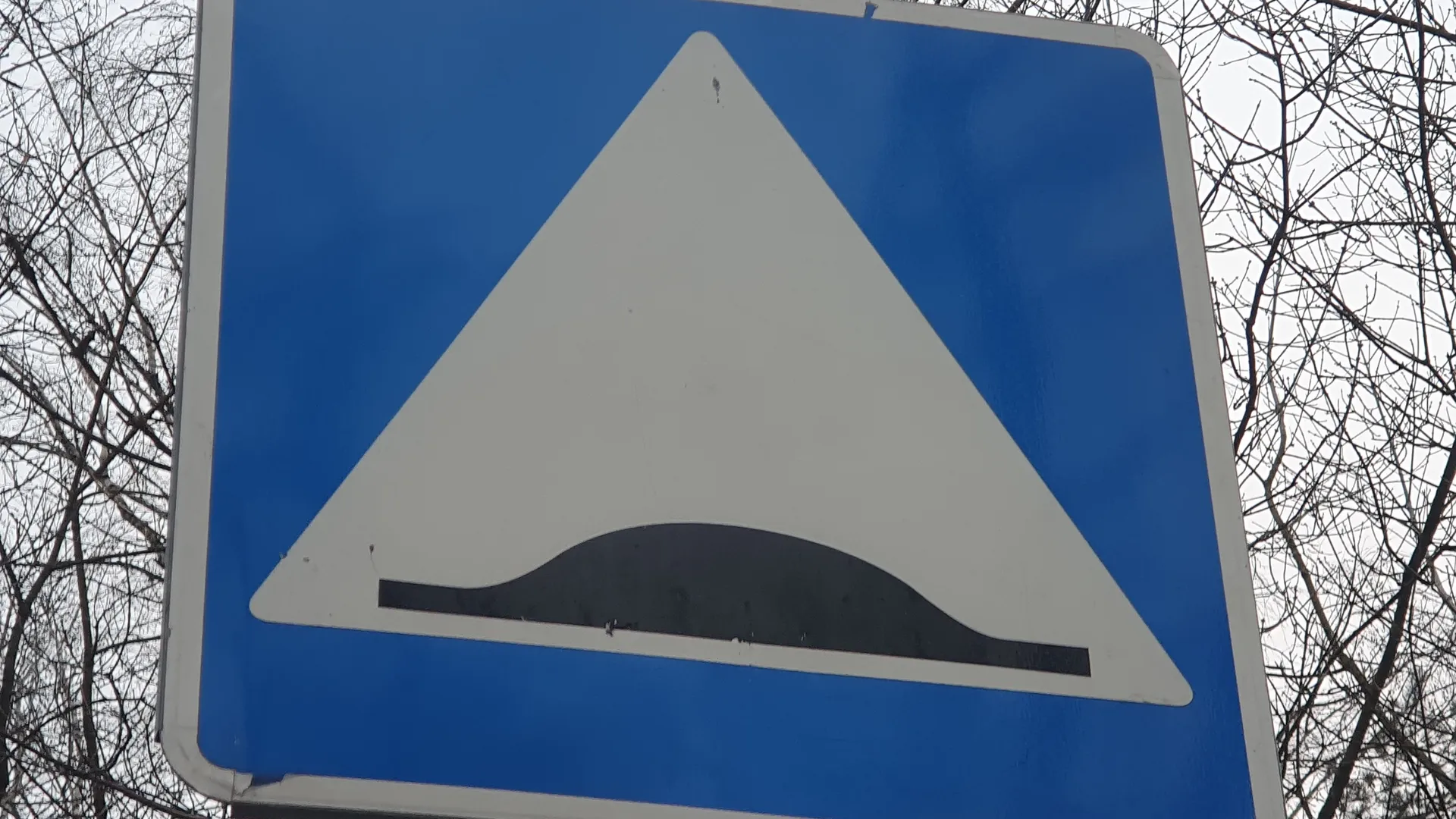 Фото: МедиаБанк Подмосковья/Валерия Исаева