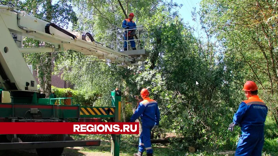 Фото: REGIONS/Василий Тремасов