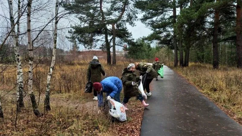 Учащиеся из подмосковного школьного лесничества «Дубки» приняли участие в субботнике