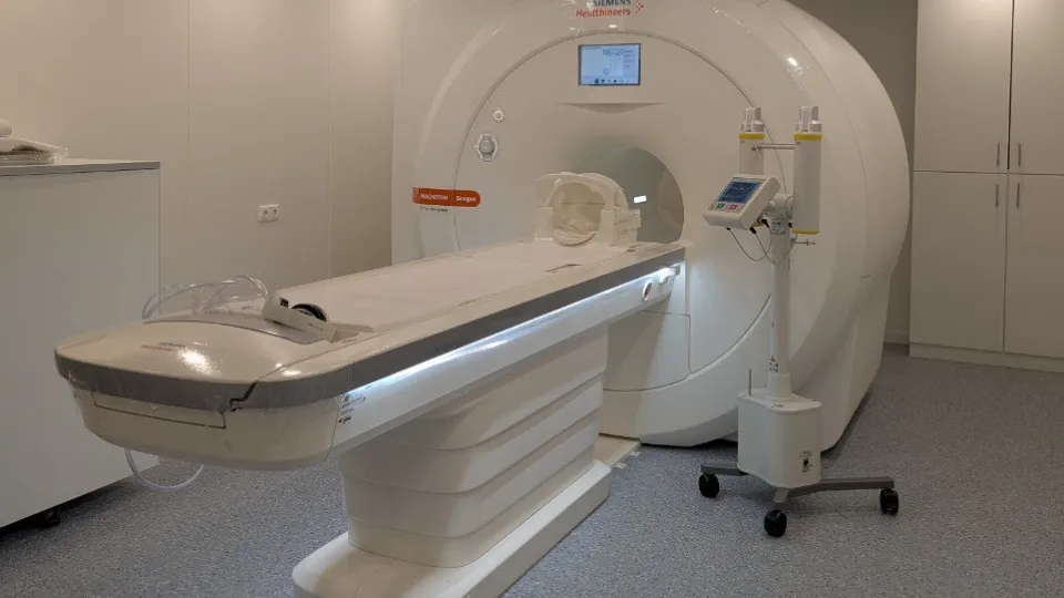 Фото: пресс-служба администрации г.о. Лобня