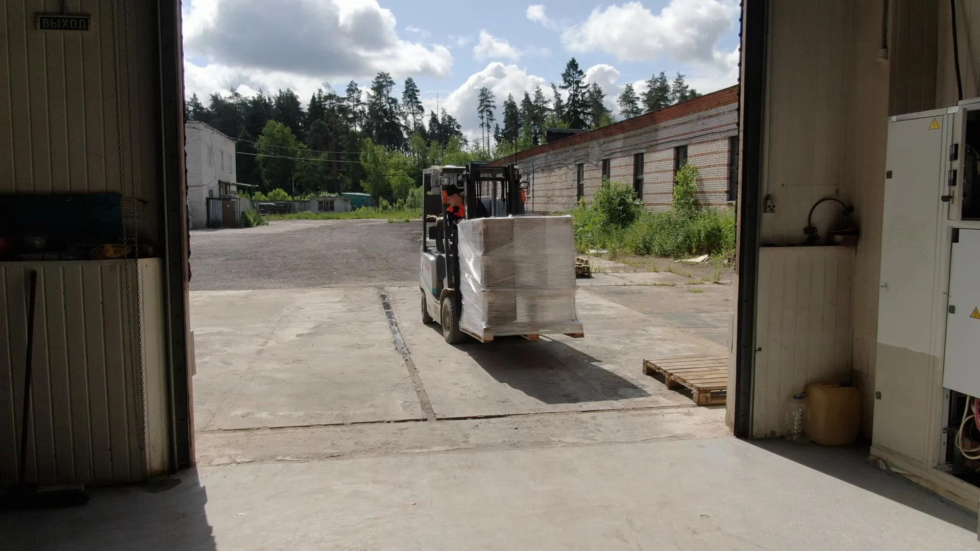 Ксения Борцова