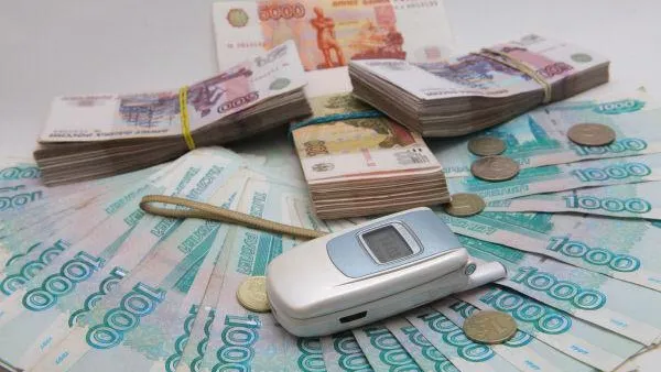 Свыше 90 млн руб принесли соцучреждения в бюджет МО в 2014 году