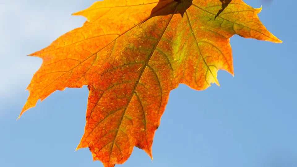 Фото: Антон Кондратюк