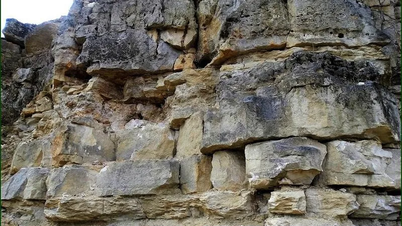 Фото: ПФ «Верховье»