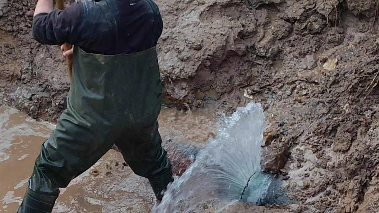 Фото: пресс-служба администрации г.о. Лосино-Петровский