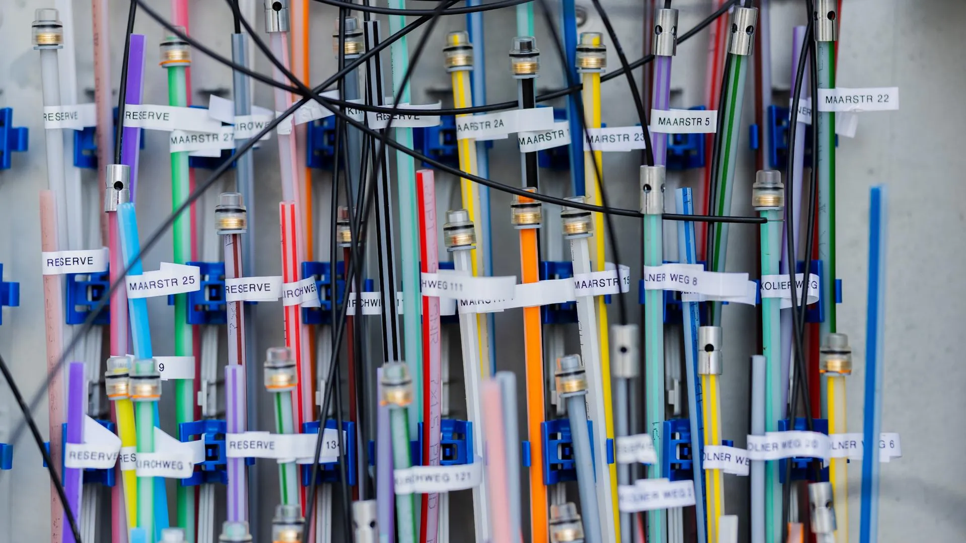 Rolf Vennenbernd/dpa