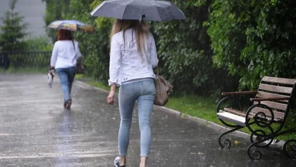 Дождь и до 22 градусов тепла ожидается в столичном регионе в субботу