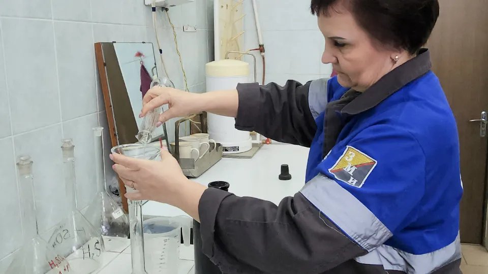 Фото: МедиаБанк Подмосковья/ Валерий Гореловский