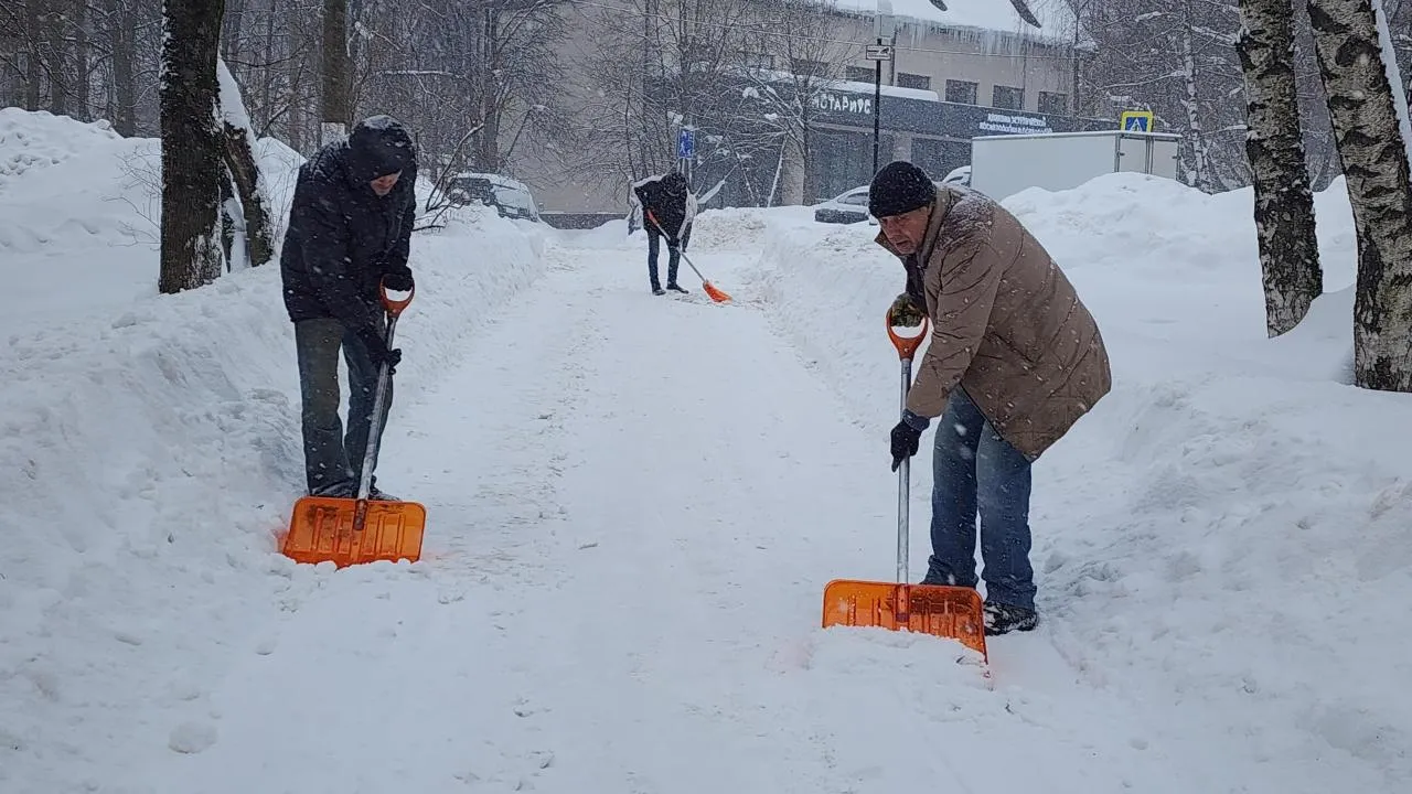 REGIONS/Артем Мишуков