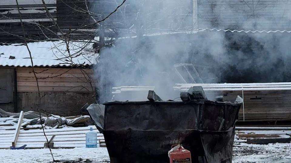 Фото: управление экологии городского округа Мытищи