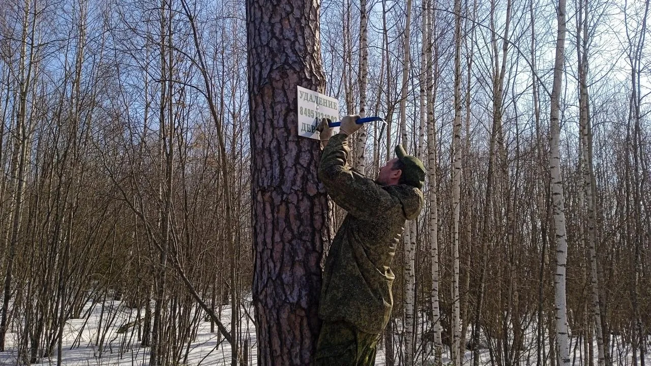 vk.com/Звенигородский филиал