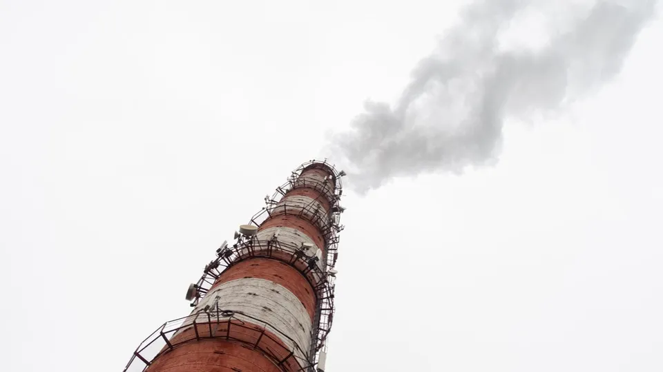 Фото: пресс-служба администрации г.о. Лыткарино