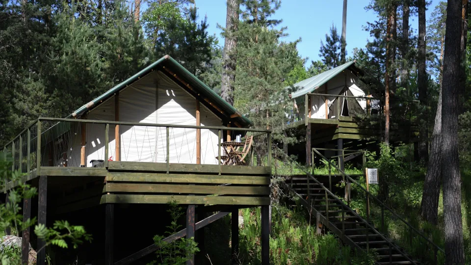 Фото: РИА Новости/Александр Кряжев