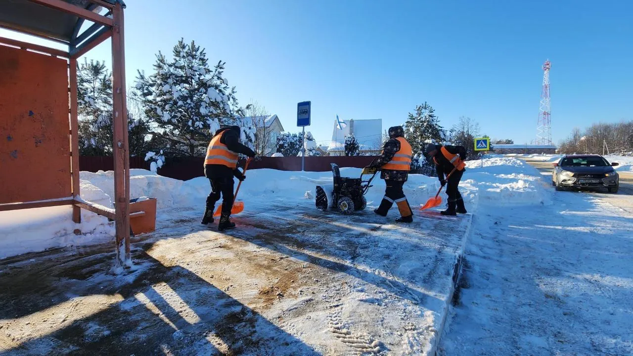 МедиаБанк Подмосковья/Дмитрий Беденко