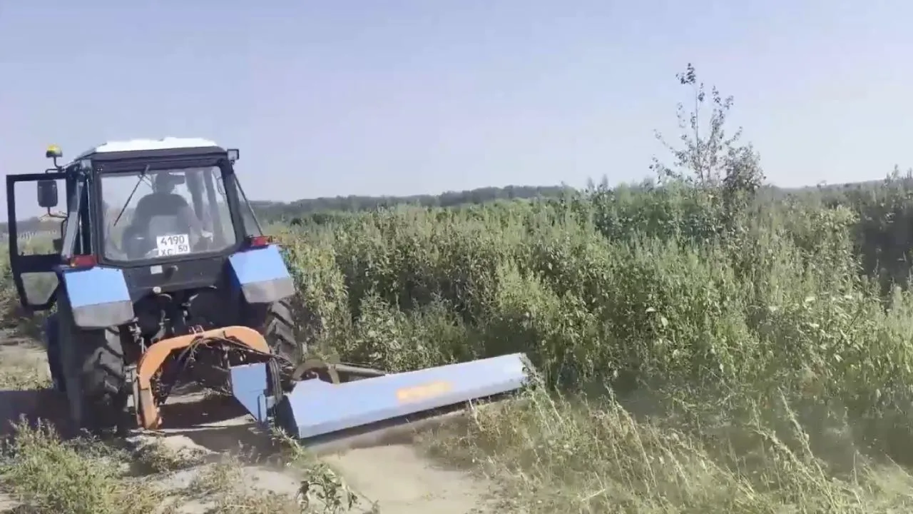 Очаг произрастания дикорастущих наркокультур уничтожили полицейские в подмосковной Коломне