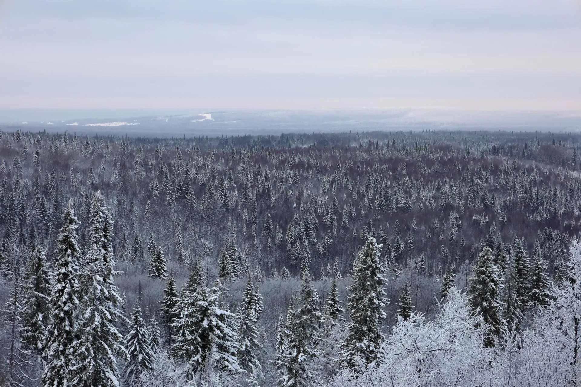 Elena Mayorova/Global Look Press