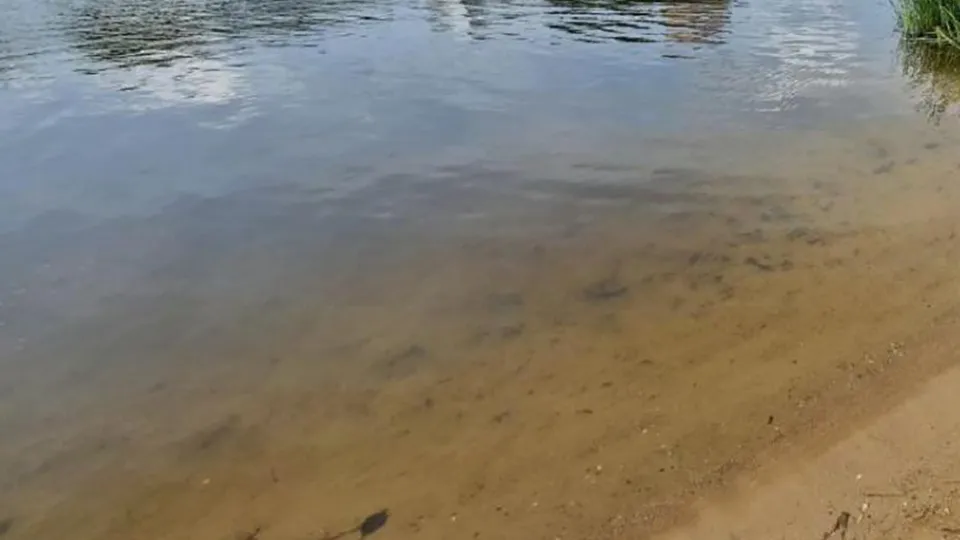 Фото: Министерство экологии МО