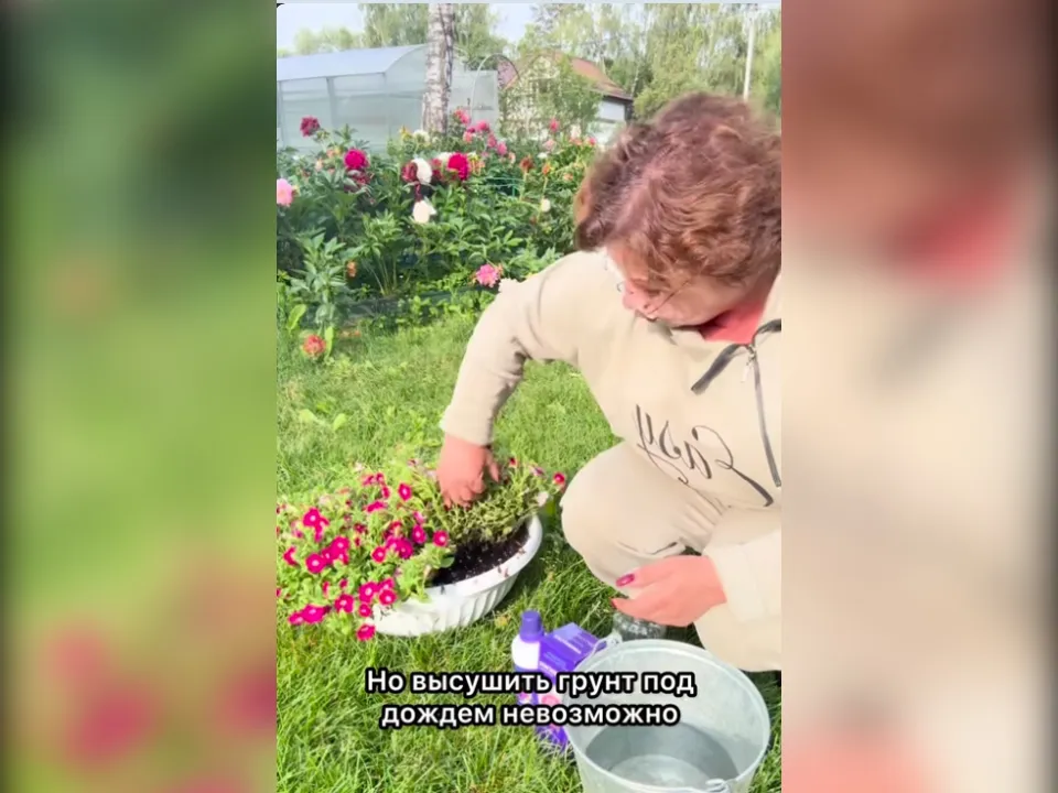 Фото: Любовь Аристархова