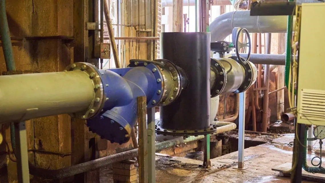 Фото: пресс-служба администрации м. о. Чехов