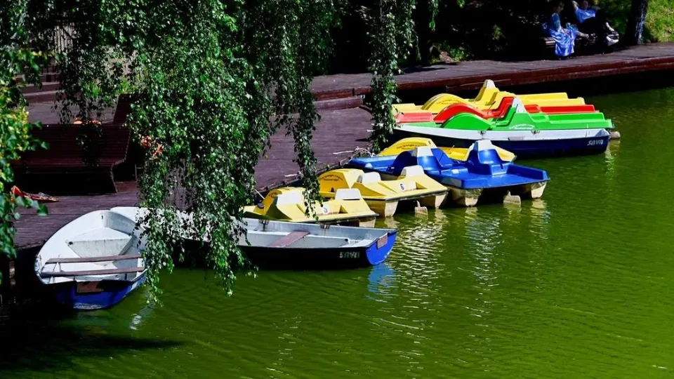 Фото: пресс-служба администрации г.о. Красногорск