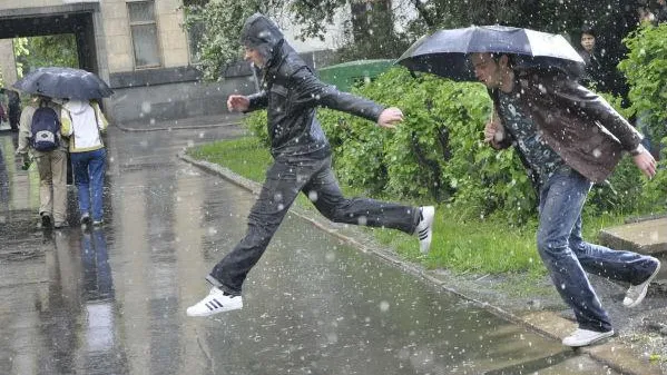 Дожди и грозы пройдут в Подмосковье в четверг