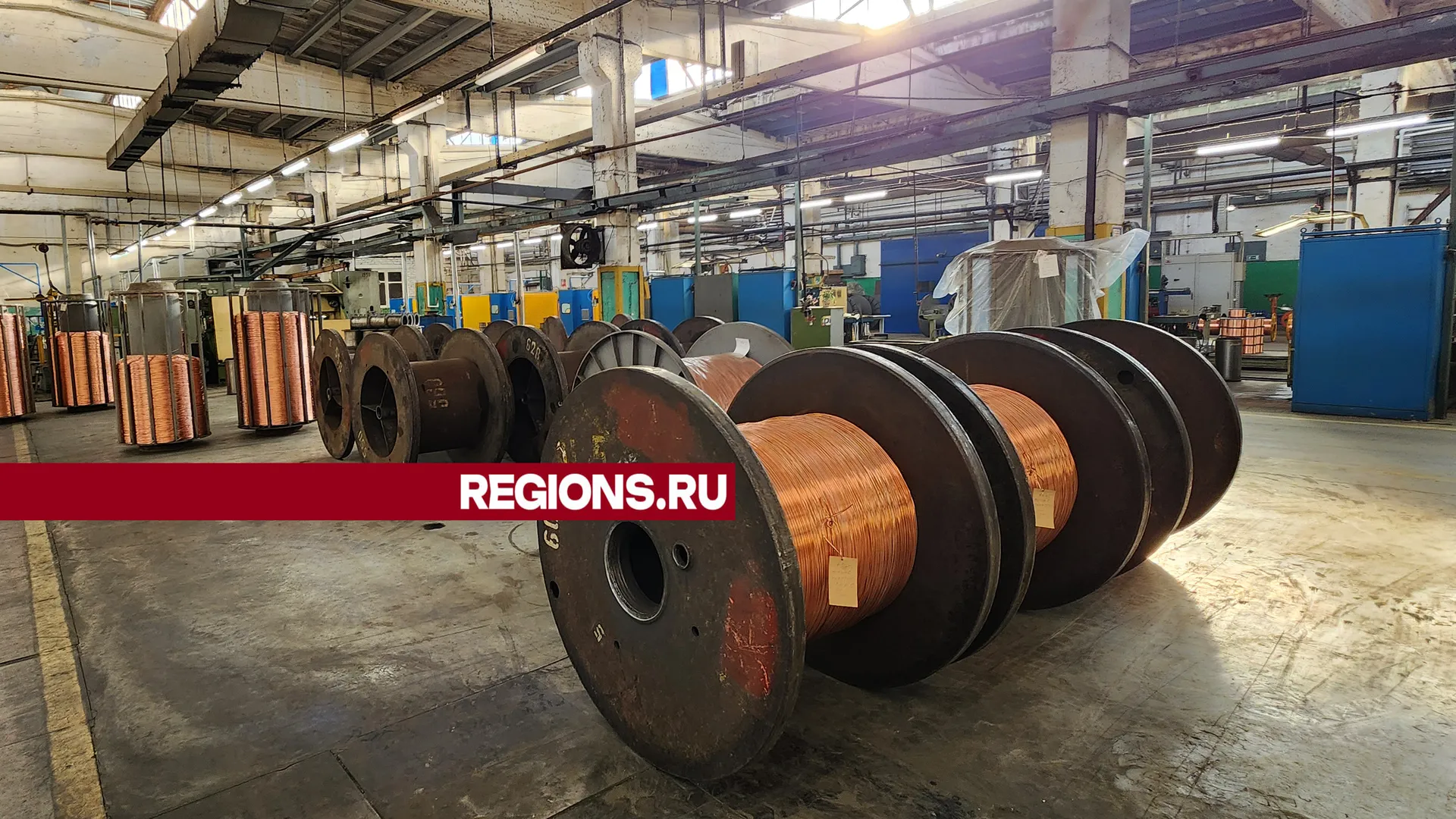 Фото: Галина Добрынина