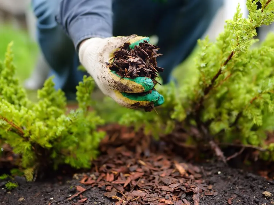 Фото: istockphoto.com