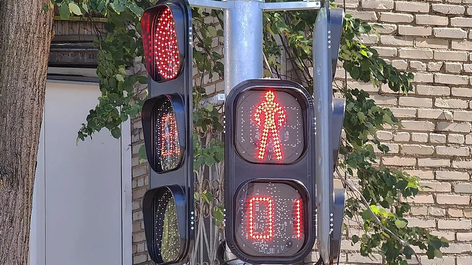 Фото: МедиаБанк Подмосковья/Роман Савельев