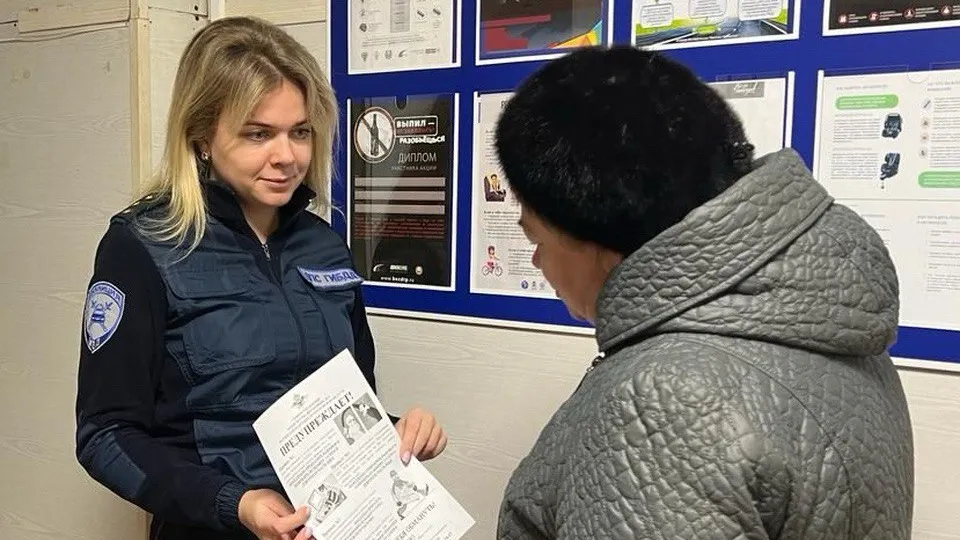 Фото: пресс-служба Госавтоинспекции ОМВД России «Павлово-Посадский»