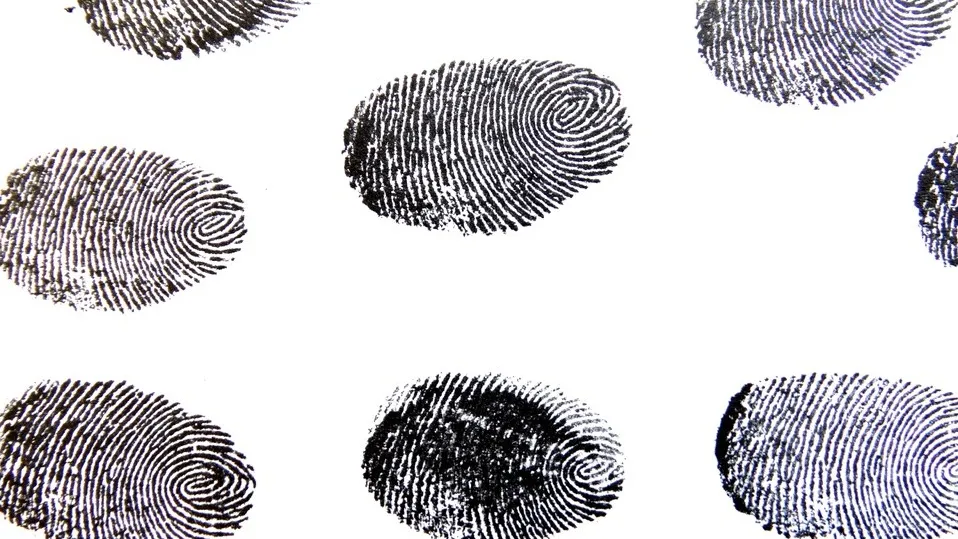 Фото: pxhere.com