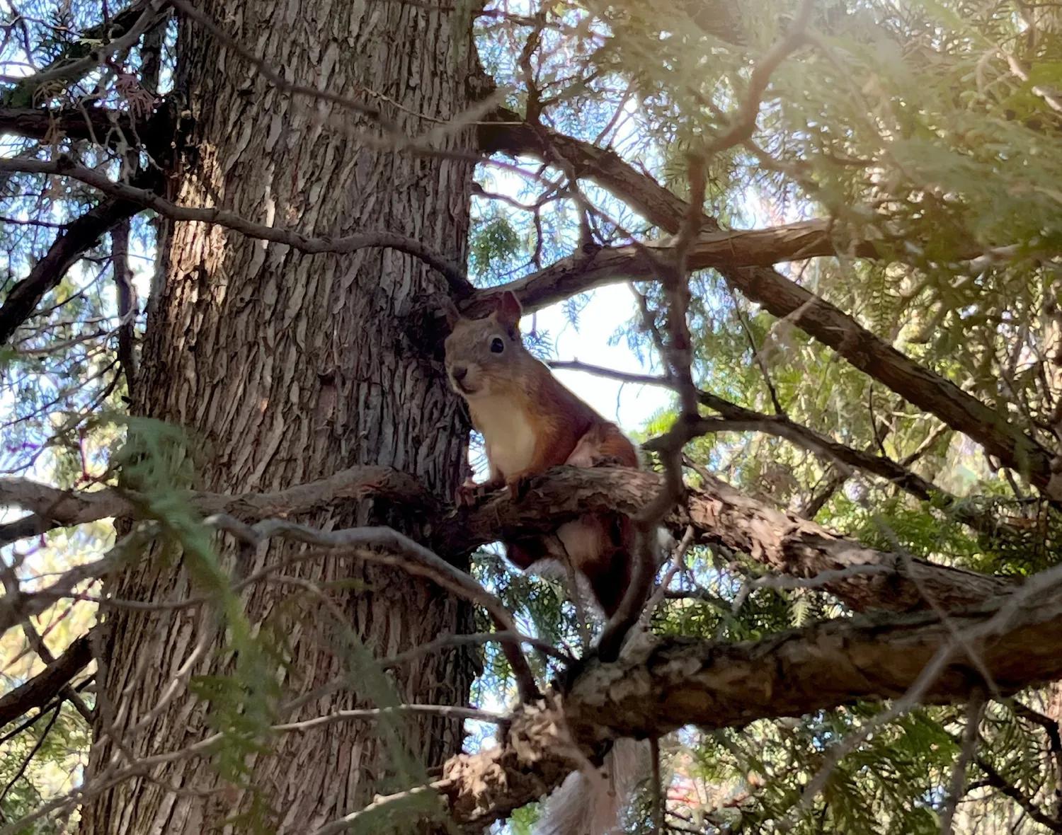 Фото: Центр досуга «Победа»