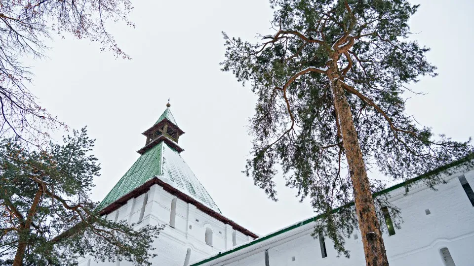 Фото: медиасток.рф