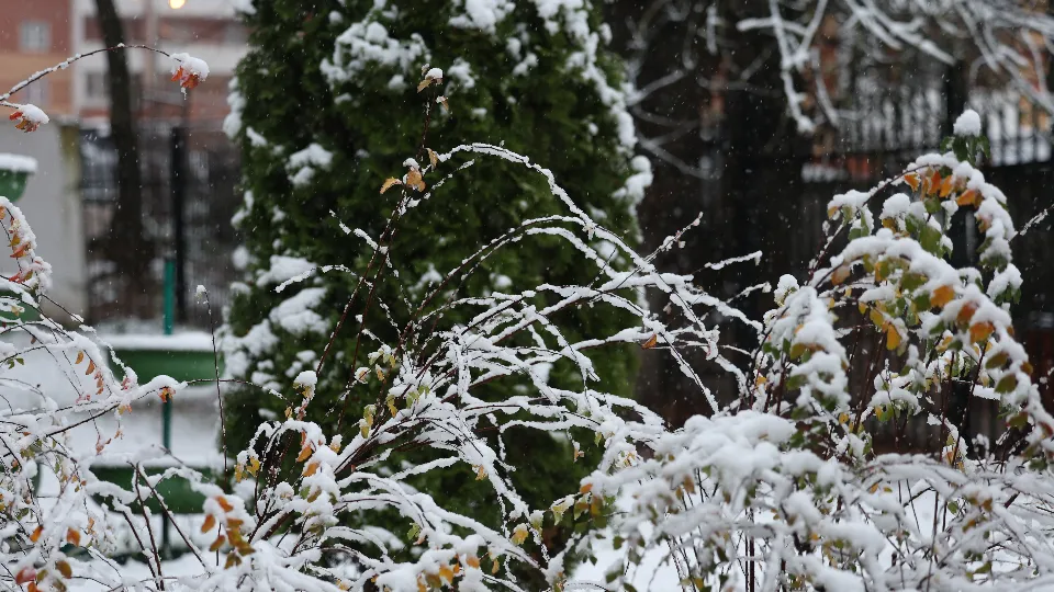 Фото: REGIONS/Ольга Пятикрестовская