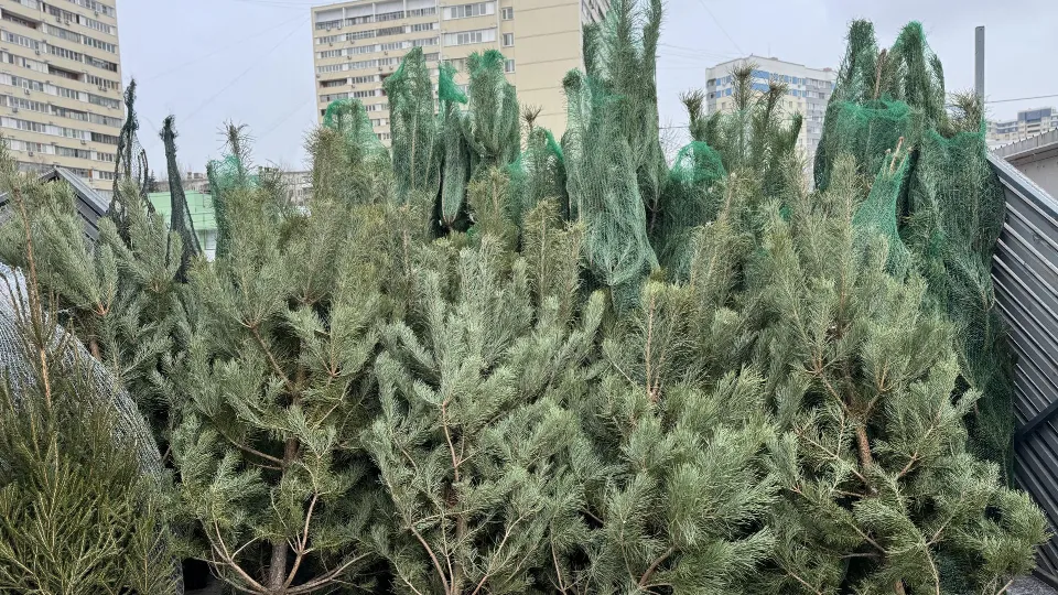 Фото: Полина Абраменко