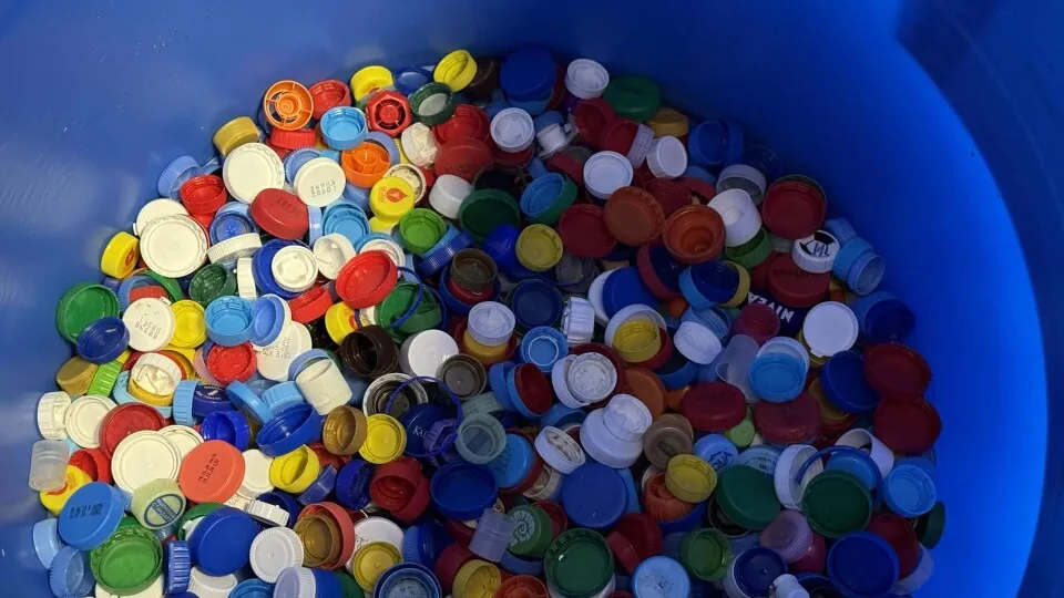 Фото: пресс-служба администрации г.о. Химки