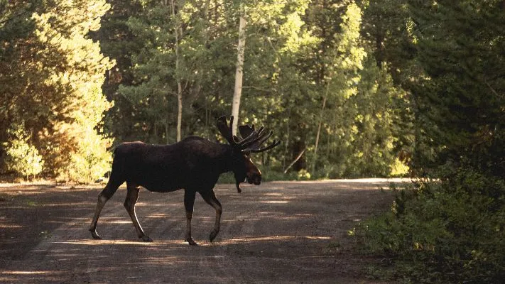 Фото: freepik.com